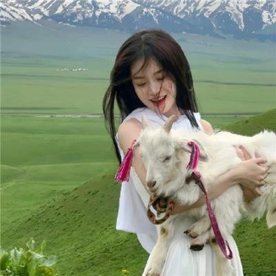 步步惊魂2008